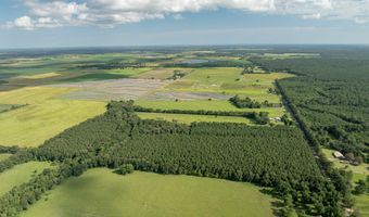 Jolene Road, Basile, LA 70515