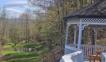 470 Shaver Hill Rd, Andes, NY 13731