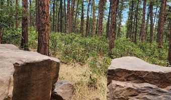 8495 Ridge Rd, Beulah, CO 81023