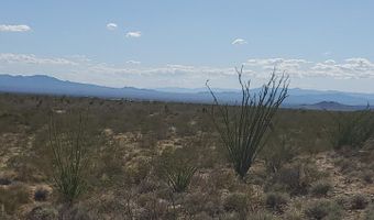 Lot 12 S Roll Rd, Yucca, AZ 86438