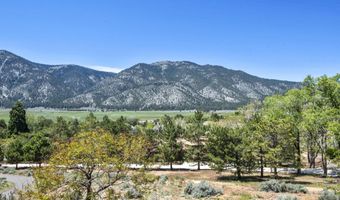 499 Alpine View Ct, Carson City, NV 89705