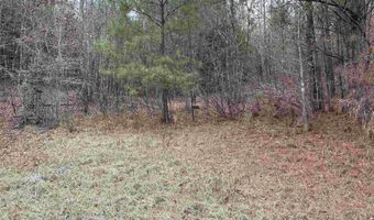 34655 Co Rd 49, Beaverton, AL 35544