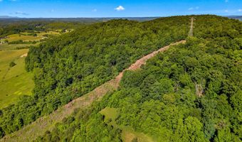 1820 Babbs Mill Rd, Afton, TN 37616