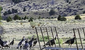 37799 ALDER CREEK Rd, Baker City, OR 97814