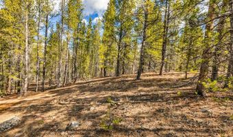 265 Placer Dr Lot 10, Alma, CO 80420