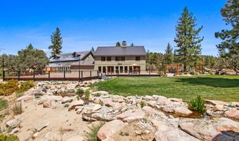 43630 Rainbow Ln, Angelus Oaks, CA 92305