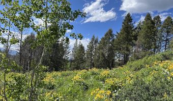 DEER HAVEN 40 AC Road, Bondurant, WY 82922
