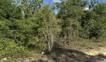 NW Lakeside Avenue lot 16 & 17, Altha, FL 32421