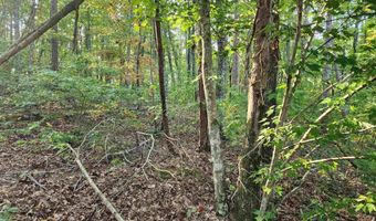 3 72 Acres County Road 14, Flat Rock, AL 35966