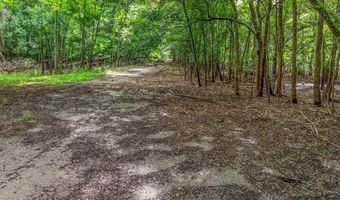 17 Th St, Bell, FL 32619