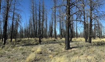 Mahogany Lane 200, Beatty, OR 97621