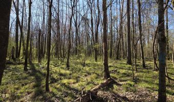 Bogue Chitto Road, Bogue Chitto, MS 39629