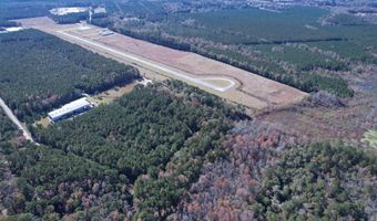 793 Puncheon Creek Dr, Andrews, SC 29510