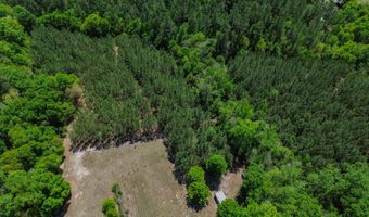 7072 Brooklyn Rd, Andalusia, AL 36421