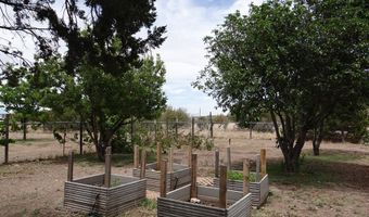 102 S Hackberry Dr, Alpine, TX 79830
