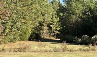 Clara Foote Road, Braxton, MS 39044