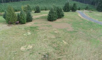 124 Norms Pkwy 1, Ariel, WA 98603