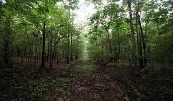 000 AVE 5 SW St, Atkins, AR 72823