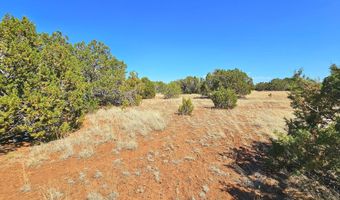 20 CO Rd, Concho, AZ 85924