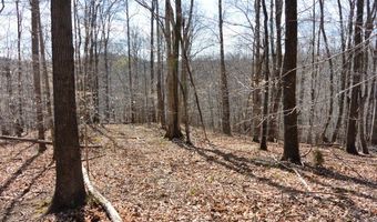 Trinity Lane lot 4, Allons, TN 38541