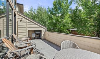 123 W Hyman Ave Unit A, Aspen, CO 81611