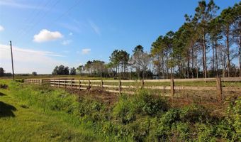 1380 OLD BREWSTER Rd, Fort Meade, FL 33841