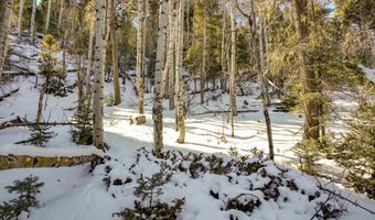 45 And 46 Sacramento Dr, Angel Fire, NM 87710
