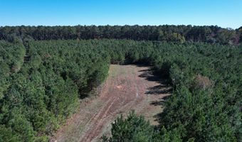 57 40 Acres-TBD Cades Rd, Cades, SC 29518