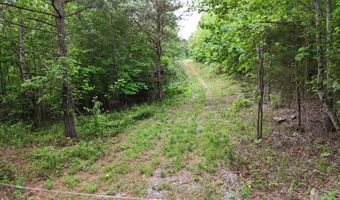 6020 Eaglewood Ln, Birchwood, TN 37308