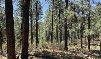 156 Lake View Cir, Bayfield, CO 81122