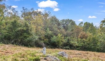 19 Woodchuck Cove Way, Alexander, NC 28701