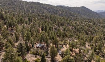 4535 Ironwood, Angelus Oaks, CA 92305