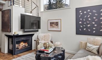 1024 E Cooper Ave 1, Aspen, CO 81611