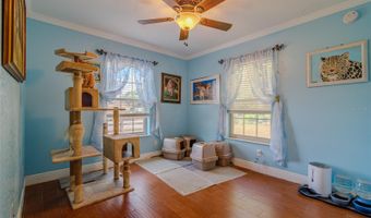 13300 NE 38TH Ave, Anthony, FL 32617