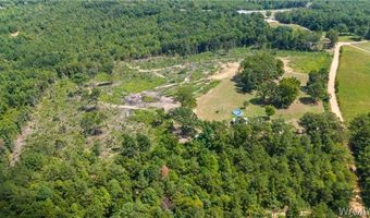888 New Liberty Rd, Bankston, AL 35542