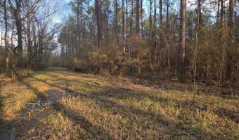 U.S. Highway 51, Bogue Chitto, MS 39629