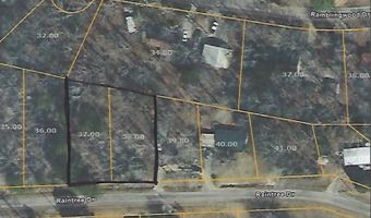 Raintree, Big Sandy, TN 38221