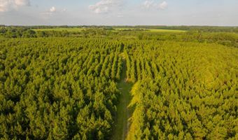 Mann Road, Arabi, GA 31712