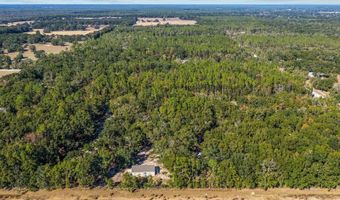 6389 6th Pl, Bell, FL 32619