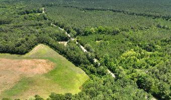 Rooks Road, Atkinson, NC 28421