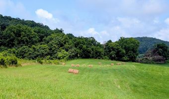 1385 Betsy Ross Rd, Afton, TN 37616