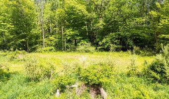 1361 Weaver Hollow Rd, Andes, NY 13731