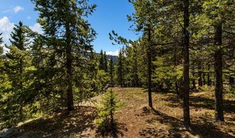 Washakie Road, Big Sky, MT 59716