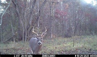 0 W Captina Highway Rd, Alledonia, OH 43902