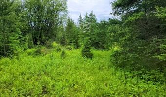 Xxx Heino Road, Angora, MN 55703