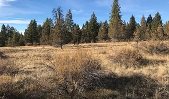 Jaguar Lane Lot 29, Bonanza, OR 97623
