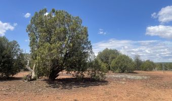 4934 Elk Trail Rd, Clay Springs, AZ 85923