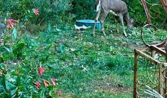 137 Pleasant Valley Rd, Brattleboro, VT 05301