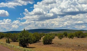 215 Gleed Station Rd Lot A 10 Acre, Ash Fork, AZ 86320