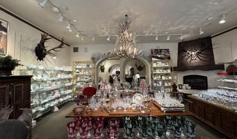 419 E Cooper Ave, Aspen, CO 81611